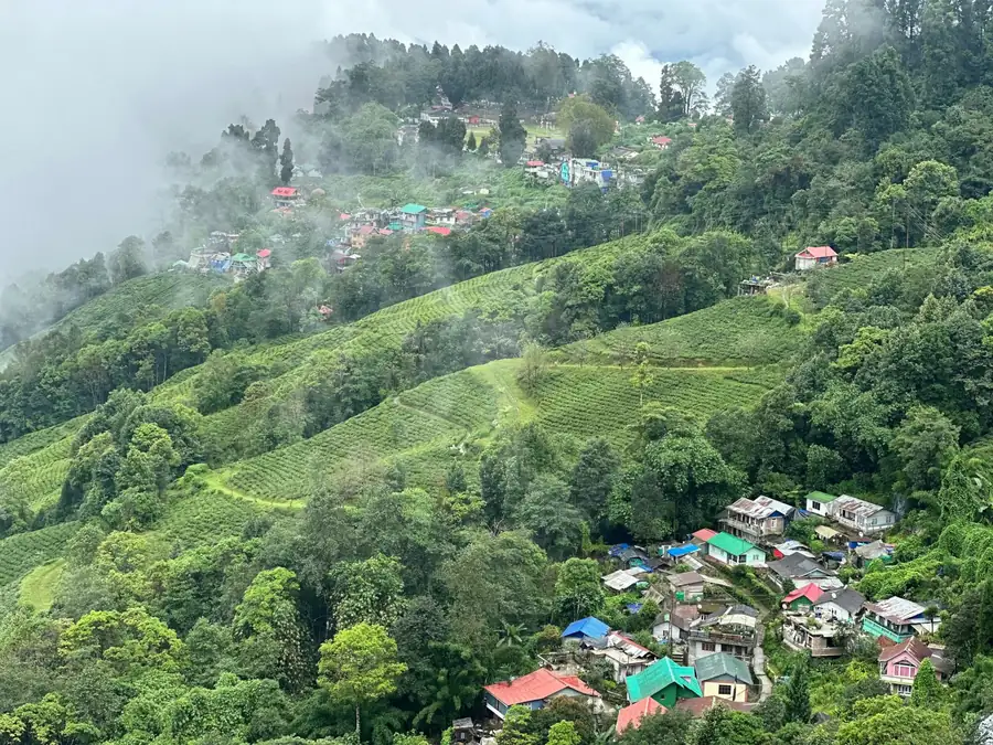 Darjeeling tea gardens and hills
