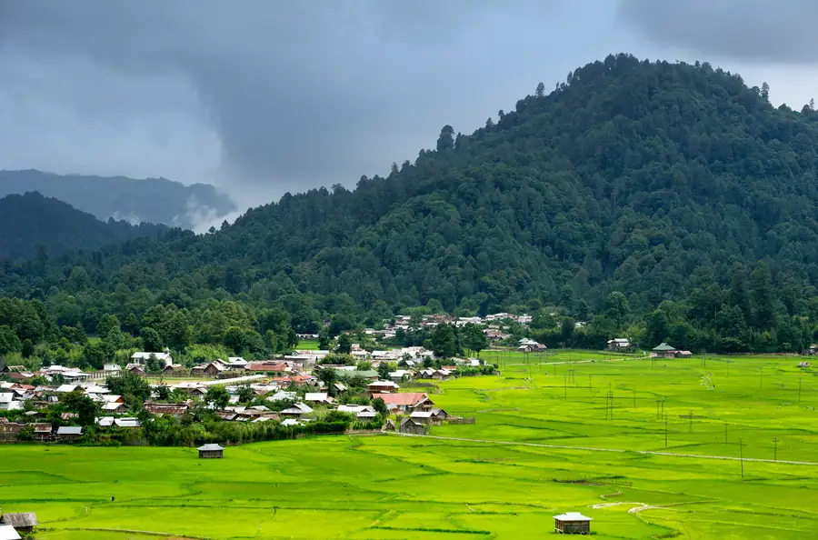 Ziro Valley Cultural Trek